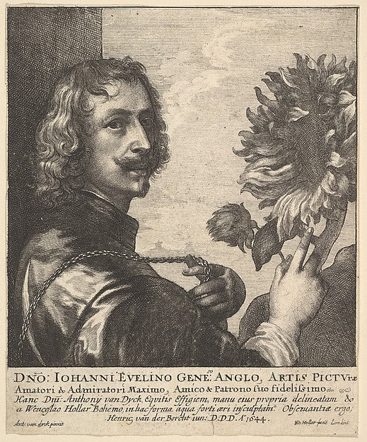 Sir Anthony van Dyck with a sunflower 1644-After Anthony van D,  Poster Print Wall Art