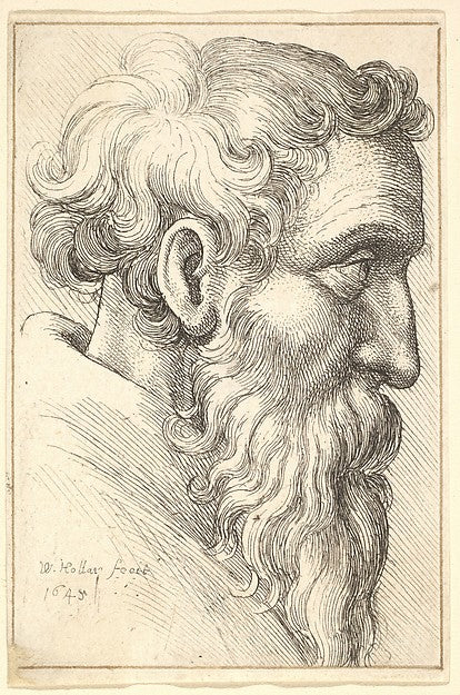 Bearded old man in profile to right 1645-Wenceslaus Hollar,  Poster Print Wall Art
