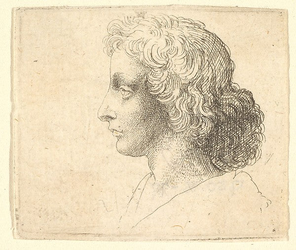 Head of young man with long hair in profile to the left 1644–5,  Poster Print Wall Art
