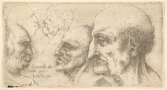 Five Heads 1625–77-After Leonardo da Vinci,16x12"(A3)Poster
