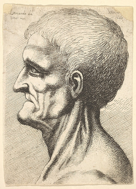 Head of a toothless man with bare  sinewy neck in profile to l,  Poster Print Wall Art