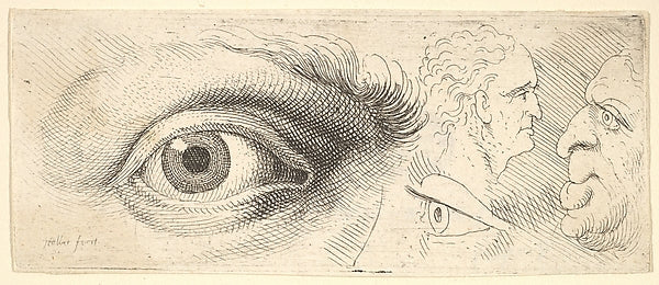 Two eyes and two heads 1644–52-Wenceslaus Hollar,  Poster Print Wall Art