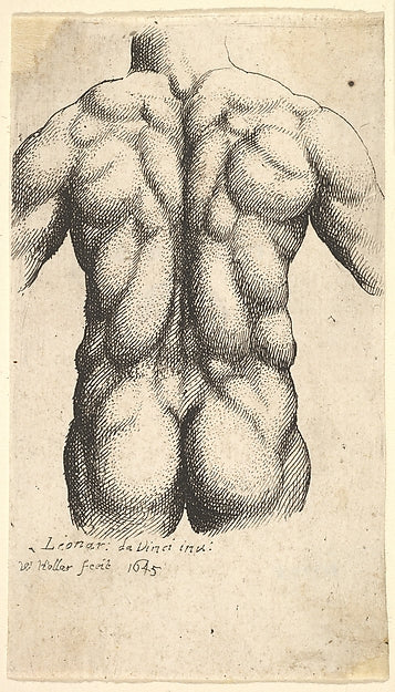 Naked male torso seen from behind 1645-After Leonardo da Vinci,16x12"(A3)Poster