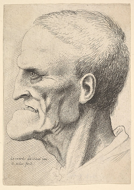 Head of an old man with a pronounced chin  short cropped hair,  Poster Print Wall Art
