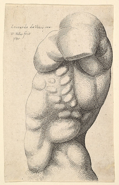 Male torso from neck to hip in profile to left 1645-After Leon,  Poster Print Wall Art