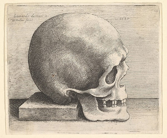 Skull in profile to right 1645-After Leonardo da Vinci,16x12"(A3)Poster