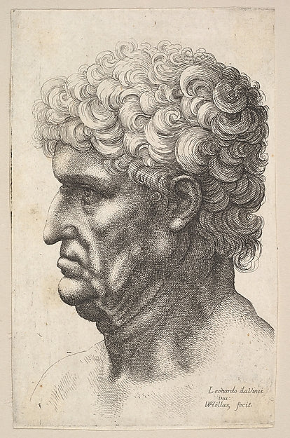 Head of a man with thick curly hair in profile to the left 164, Poster Print