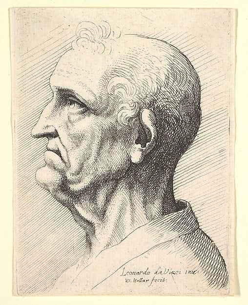 Head of an old man with tufts of curly hair around ear in prof,  Poster Print Wall Art