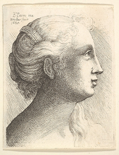 Head of a young woman in profile to right 1645-Wenceslaus Holl,  Poster Print Wall Art
