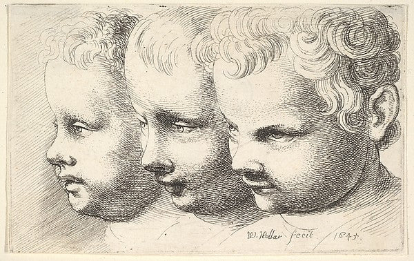 Three children's heads 1645-Wenceslaus Hollar,  Poster Print Wall Art