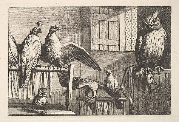 Hawks and owls 1625–77-Wenceslaus Hollar,  Poster Print Wall Art