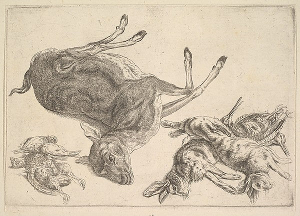 Dead deer  hares and game 1625–77-Wenceslaus Hollar,  Poster Print Wall Art
