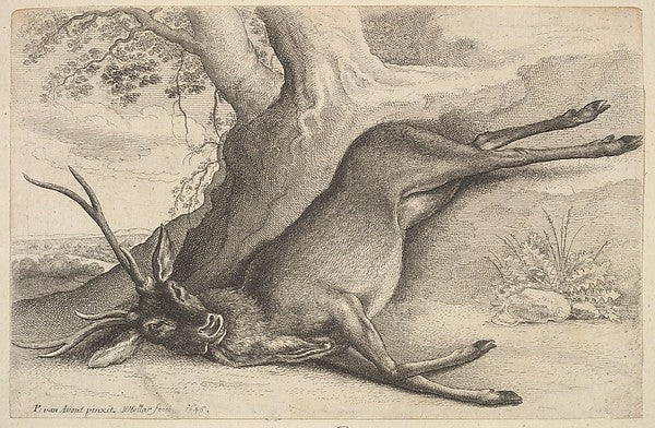 Dead stag 1646-Wenceslaus Hollar,  Poster Print Wall Art