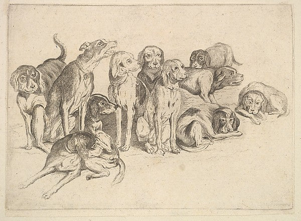 Eleven Hounds 1625–77-Wenceslaus Hollar,  Poster Print Wall Art