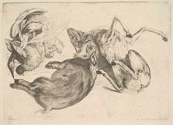Boar  deer  heron and other game 1625–77-Wenceslaus Hollar,  Poster Print Wall Art
