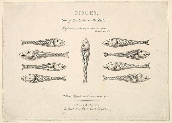 Pisces: Hogarth's Quadrille Fish c1730-After William Hogarth ,16x12