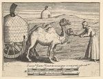 Attributed to William Hogarth:Two Dromedaries 1723–24, vintage artwork, 16x12"(A3) Poster Print