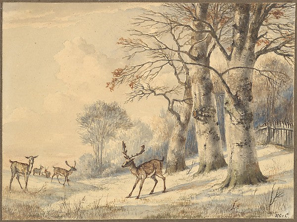 Hendrik Gerrit ten Cate:Deer under Beech Trees in Summer mid-16x12"(A3) Poster