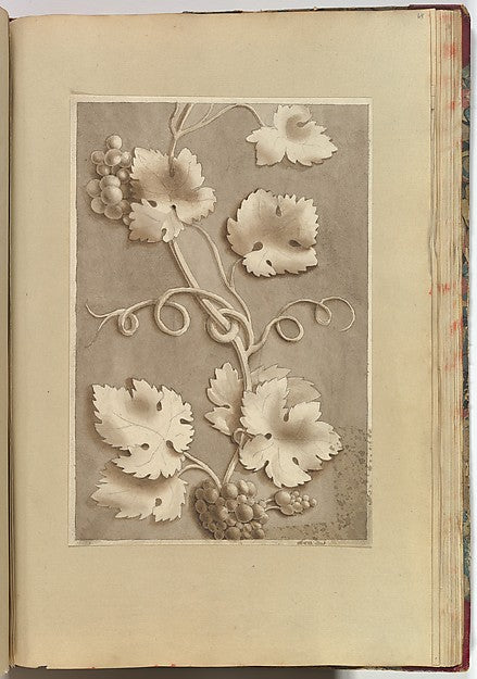 Grapes and Vine-leaves 1845–70-Alfred Henry Forrester [Alfred ,  Poster Print Wall Art