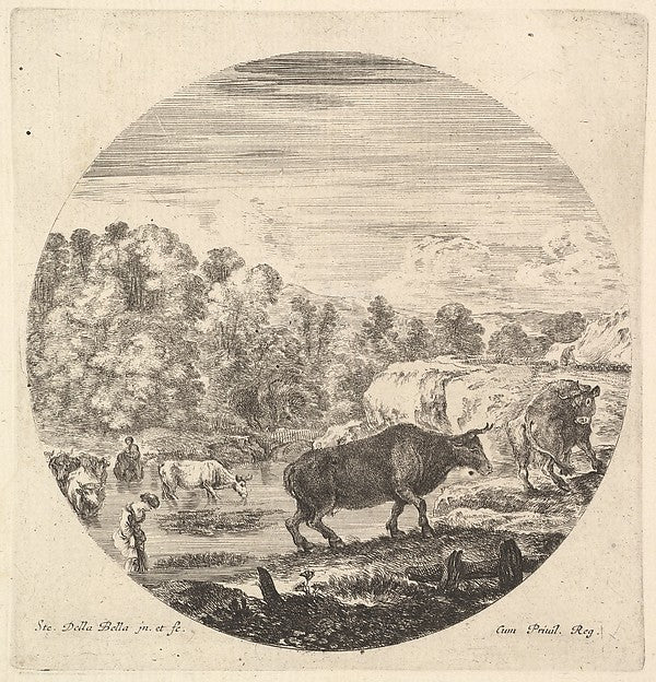 Stefano della Bella :Two cows in center followed by two peas-16x12"(A3) Poster