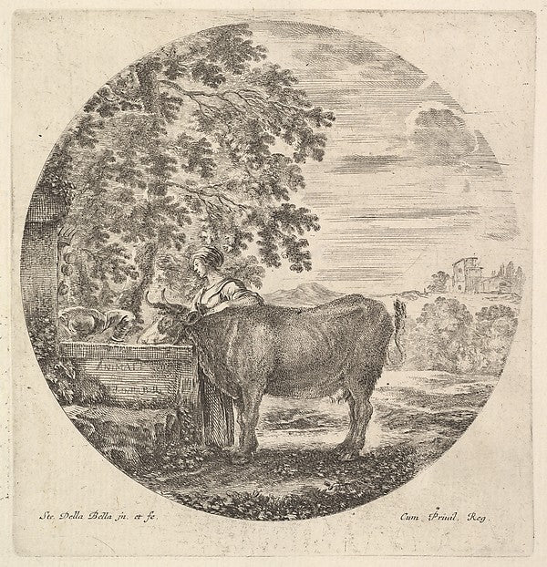 Stefano della Bella :A cow in center drinking from a fountai-16x12"(A3) Poster