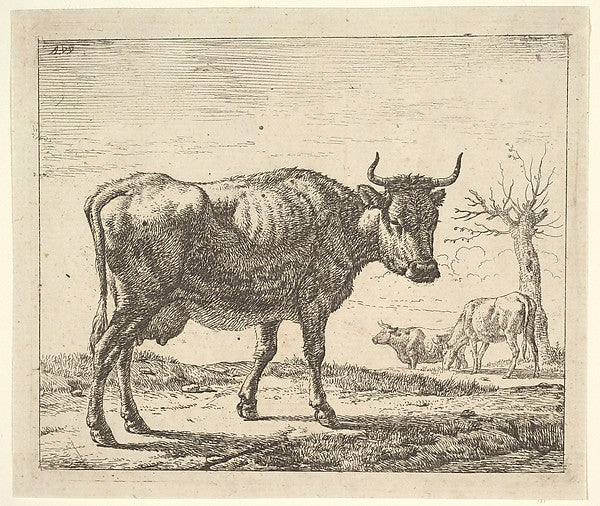Three Cows  from Different Animals-Adriaen van de Velde ,  Poster Print Wall Art