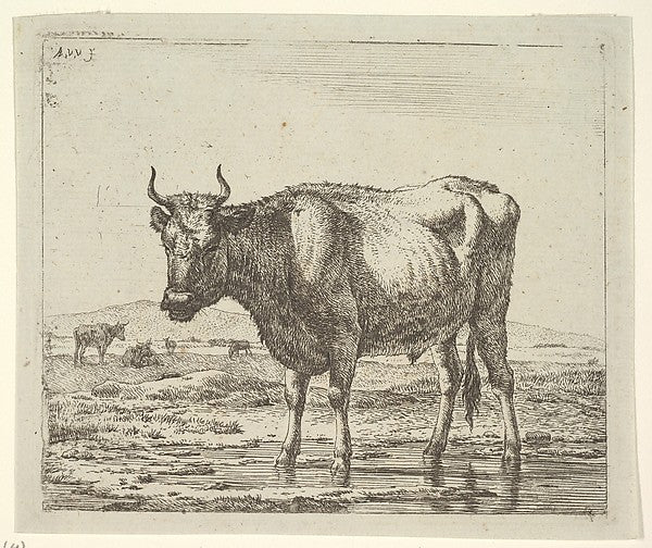 Bull Standing in Water  from Different Animals-Adriaen van de ,  Poster Print Wall Art