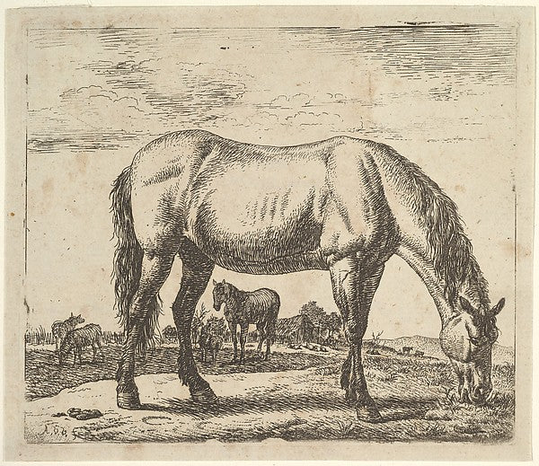 Grazing Horse  from Different Animals-Adriaen van de Velde ,  Poster Print Wall Art