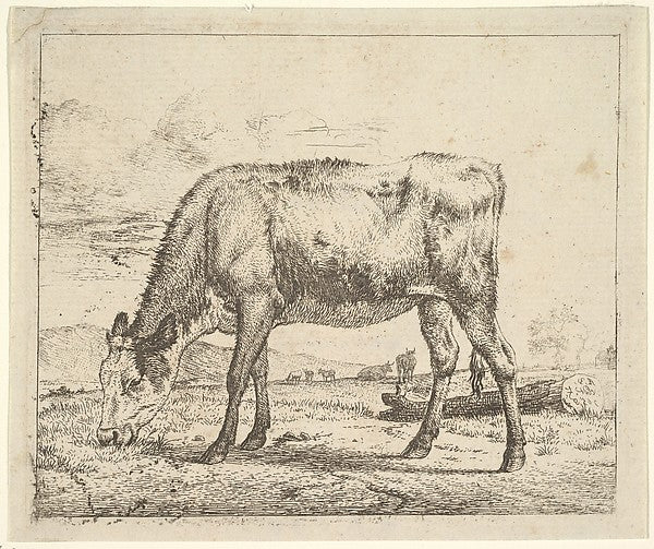 Grazing Calf  from Different Animals 1658-Adriaen van de Velde,  Poster Print Wall Art