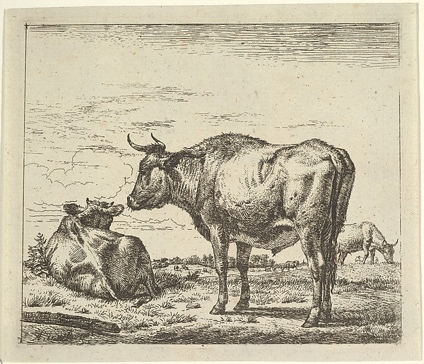 Standing Bull  from Different Animals-Adriaen van de Velde ,  Poster Print Wall Art