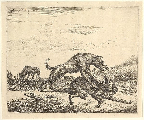 Fighting Dogs  from Different Animals 1657-Adriaen van de Veld,  Poster Print Wall Art