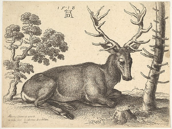 Stag lying to right 1649-After Albrecht Dürer ,  Poster Print Wall Art