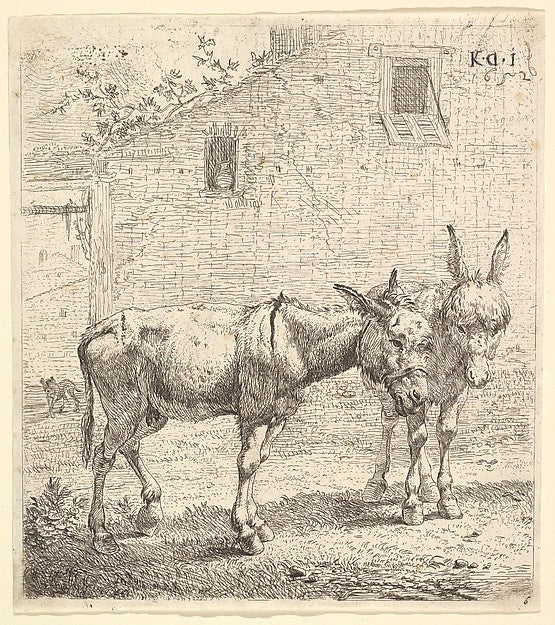 Two donkeys standing in a grassy yard  one in profile view fac,  Poster Print Wall Art