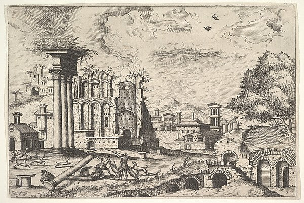 View of the Roman Forum  looking toward the Palatine Hill  fro,  Poster Print Wall Art