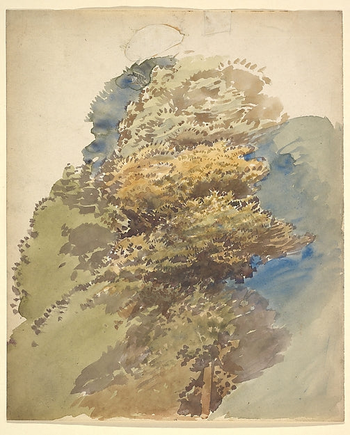 George Richmond:Study of a Tree possibly 1848-16x12"(A3) Poster