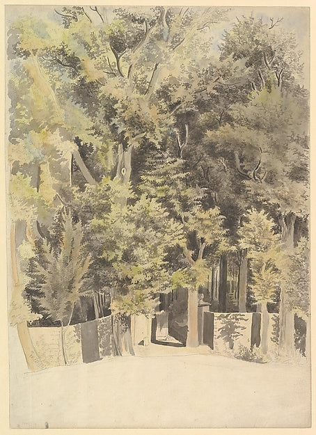 Theodosius Forrest:Trees by an Entrance to a Park 1748–84-16x12"(A3) Poster