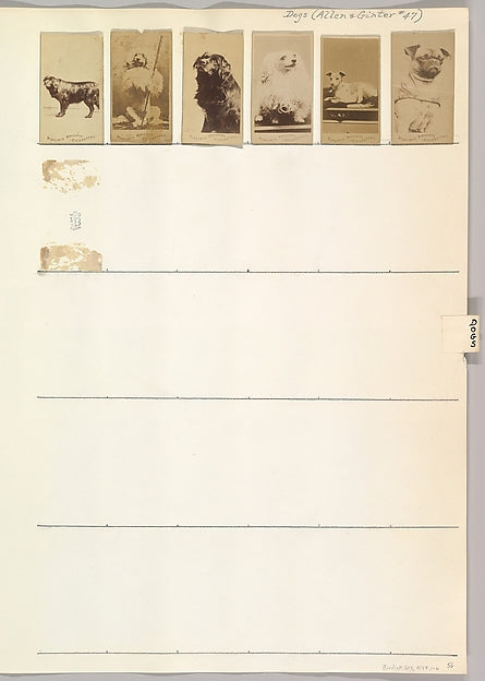 :Album 203 page 56 c1888-16x12"(A3) Poster