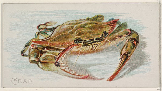 :Crab from the Fish from American Waters series for Allen &-16x12"(A3) Poster