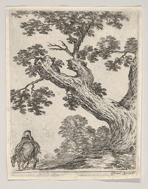 Stefano della Bella :Plate 18: a large tree at right a man o-16x12"(A3) Poster