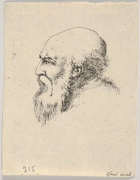 Stefano della Bella :Plate 8: head of an old bald man with a-16x12"(A3) Poster