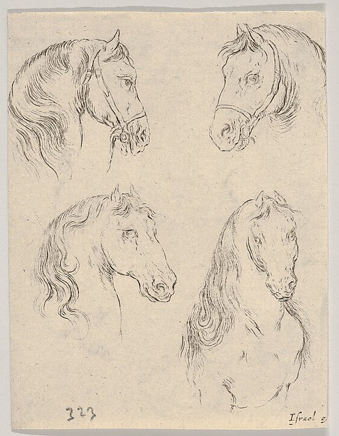 Stefano della Bella :Plate 16: four studies of horse heads f-16x12"(A3) Poster