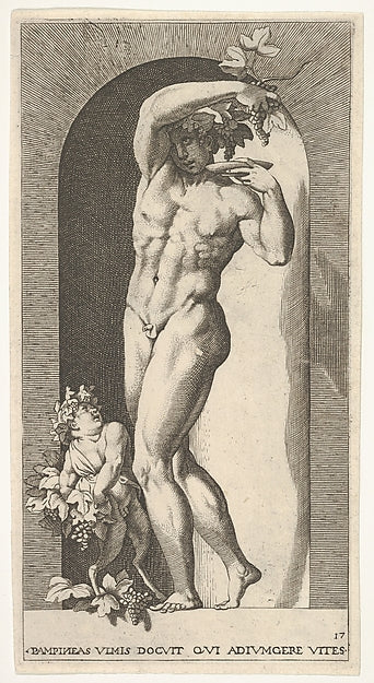 Plate 17 -  Bacchus standing in a niche  holding grapes over a p,  Poster Print Wall Art