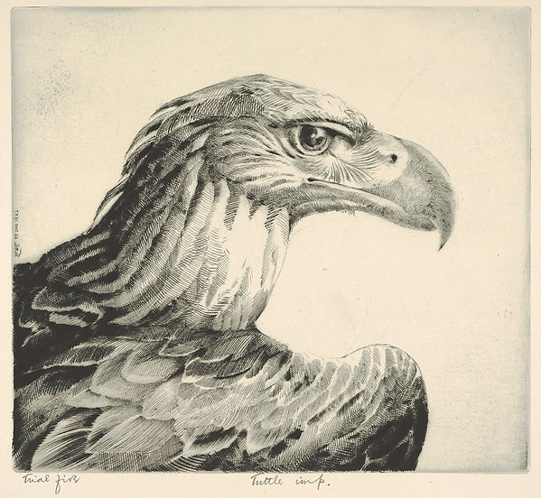 Aquiline  1937-Henry Emerson Tuttle ,  Poster Print Wall Art
