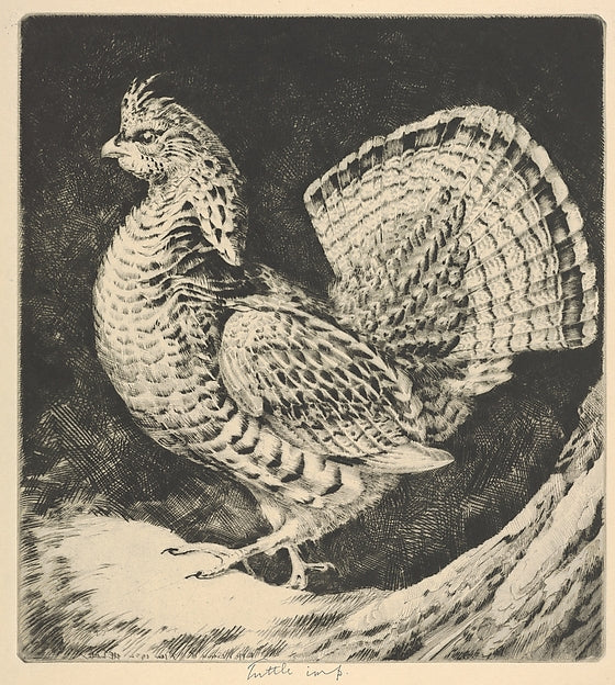 Strutting Cock 1932-Henry Emerson Tuttle ,16x12