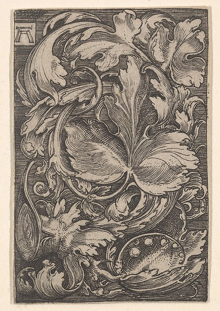 after Albrecht Altdorfer:Copy of Leaf Ornament with Lilies o-16x12"(A3) Poster