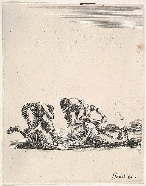 Stefano della Bella :Two men skinning a horse that is lying -16x12"(A3) Poster