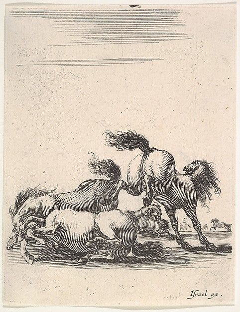 Stefano della Bella :Several horses fighting one horse to ri-16x12"(A3) Poster