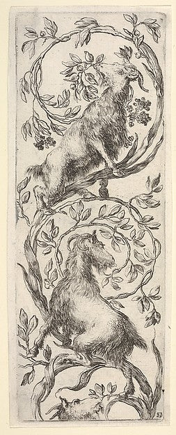 Three goats climbing a vine in the shape of a backwards 'S'  f,  Poster Print