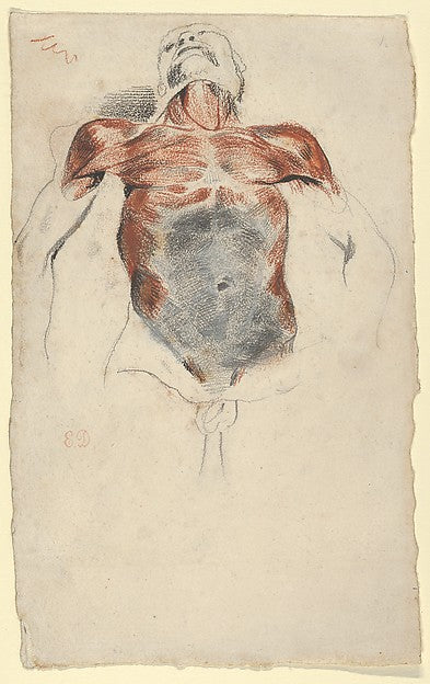 Ecorché: Torso of a Male Cadaver 1828?-Eugène Delacroix,  Poster Print