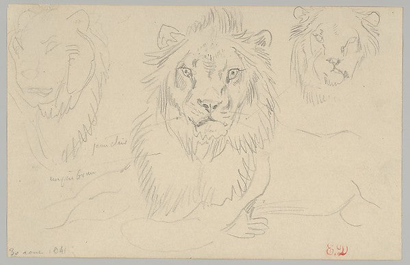 A Lion  Full Face  August 30  1841 1841-Eugène Delacroix,16x12"(A3)Poster